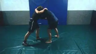 Andres Lignitzer - Seventeenth wrestling and counter