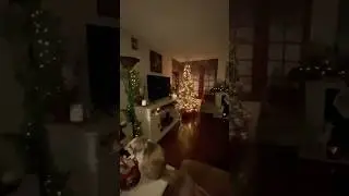 Christmas 2025.             #christmas #christmasmusic #christmassongs