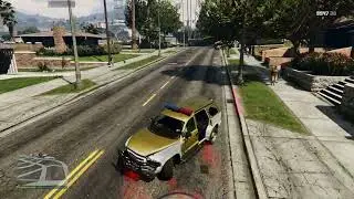 Dispatch Work - Animal Pics - Pug - Madrazo Hit - Chicken Hawk - Deer - G's Cache - Exotic Bullet