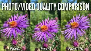 iPhone 11 Pro против iPhone XS и iPhone X: тест камеры (пример сравнения качества изображения/видео)