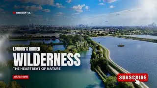 Wild London: A Cinematic Walk Through the Marshes, The Secret Side of London a  Few Ever See..