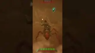 How to get the Spider Den Optical Disk! | #Grounded2 #funny #gaming #gamingshorts