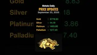 Daily Metals Price Updates | #silver #gold