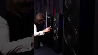 В чем отличие дешевых и дорогих колонок? Российская Premiera DS-631или Martin Logan  Motion из USA🔊
