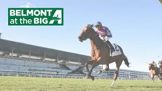 Talking Horses - November 2, 2025