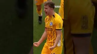 Hinshelwood FORCES Brighton Level At Man City!! 😍 #brightonandhovealbion #manchestercity