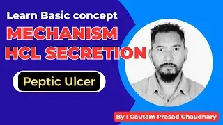 Mechanism of HCL secretion in stomach I mechanism of hcl formation physiology I GP lectures 1.0