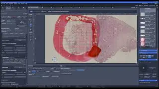 Performance comparison (ZEISS) - Part 11/14 
