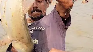 Fish Hunter Jump To Catch A Big Monster Fish.  #fishing #fishingtrip #viralreelsシ #viralreelsシ