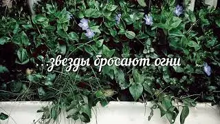 Antihoney - Dove doll ver (fan-made karaoke with russian lyrics)