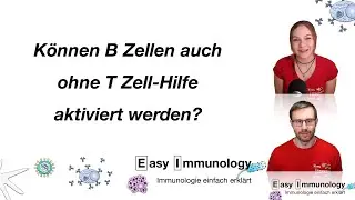 Season 2 - Folge 7: Können B Zellen auch ohne T Zellhilfe aktiviert werden?