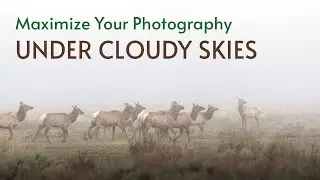 How to Capture Epic Photos Under Cloudy Skies