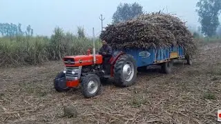 Massey Ferguson 135 (1971)  || Loads Quintal's of Weight