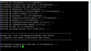 Install Microsoft SQL Server on Ubuntu Server
