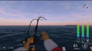 Fishing Planet - Young Black Marlin
