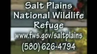 Great Salt Plains National Wildlife Refuge