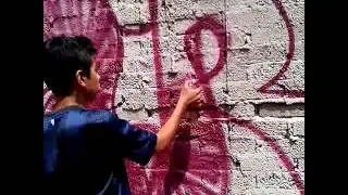 Ilegal sdrol hru