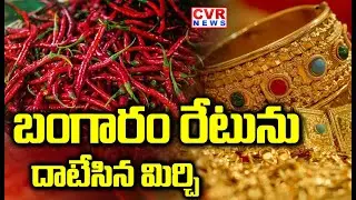 Mirchi Price Creates High Record In Enumamula Market | Warangal News | CVR NEWS