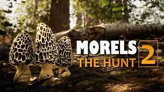Охотник за грибами ► Morels: The Hunt 2