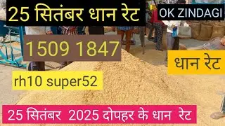 1509 rh10 supre52 paddy price today