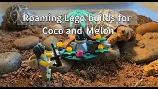 Lego Baby Gorilla Rescue built for Coco & Melon #rescuestory #legoindia #afol #turtoise #cocomelon