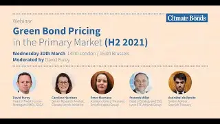 Green bonds demonstrate pricing benefits for Investors & Issuers: Latest findings