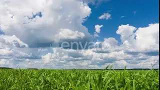 Beautiful Time Lapse, Sky and Green Fresh Grass. Qualitative Footage, No Flicker, No Birds | Sto...