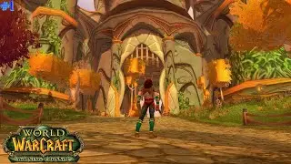Keliopha Plays World of Warcraft: Burning Crusade Classic Anniversary - Pre-Patch Madness