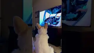 Flight Simulator Training