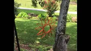 Large Copper Starship Coil &ndash; Energy Amplifier & Frequency Harmonizer | Handmade Rodin Coil