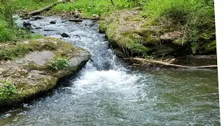 Wild Trout - Small Stream Fishing for Brook Trout
