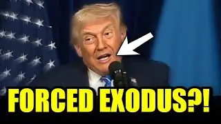 Что может означать комментарий Трампа о миграции из Газы для политики США?