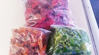 Drying and freezing my peppers.