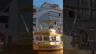 Путешествие на Гибралтар. Смотри полное видео на канале☝🏻