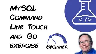 Touch N' Go:  MySQL Command Line