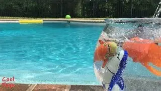 Lil' Fishys Motorized Water Pets Aquarium Pool Unboxing