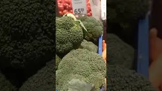 Price for CABBAGE 