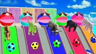 #8Giant Duck Cartoon, Paint & Animals Lion, Gorilla, Bear,Tiger , Cow Wild AnimalsCrossing Fountain