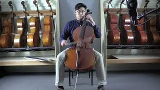 Vivo Limited Eurowoods Strad Cello for Sale | Linda West Cellos