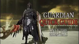 How To Play Guardian | Nightreign Guide
