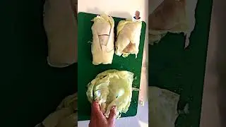 #Kohlroulade, cabbage roll, #famous german cuisine, #dinner, #cooking, #homemade, #shorts