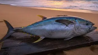 Simple way to cut tuna fish