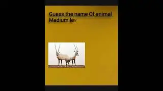 Most wanted quiz in the world  #animals #hardquiz #quiz #new #fyp#trend#jaat#riddlesquiz #mostwanted