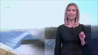 Vaquería en Noviercas - Informe Semanal