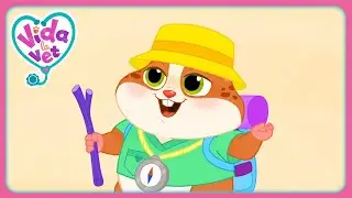 ¿Adónde Van Las Palomitas? (Recopilación) | Vida, La Vete | Dibujos Animados Para Niños