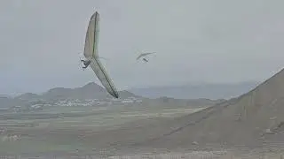 The Practice of Freedom