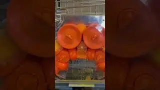 Fresh Squeezed OJ!