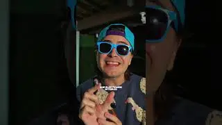 ALHO CONFITADO - Receita para comer alho puro!