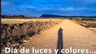 16 Camino de la Lana. Etapa 5. Almansa-Alpera 23,5 Km. Ene-2026