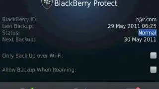 BlackBerry Protect